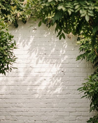 Botanical Shadows