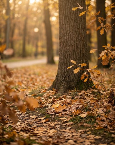 Autumn Park
